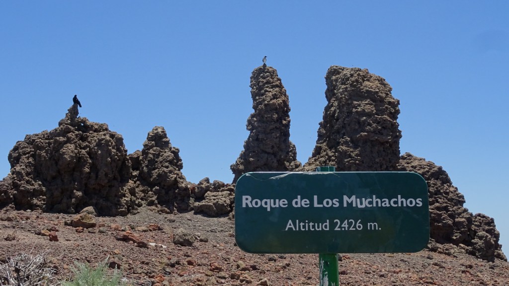 Vue du Roque de Los Muchachos avec des formations rocheuses, un panneau indiquant l'altitude de 2426 m, et un oiseau sur une des roches.